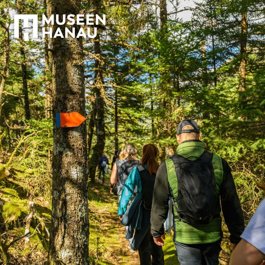 Ein sonniger Tag im Wald. Eine Gruppe mit Rucksäcken und Treckingkleidung gehen entlang eines mit einem orangenen Pfeils markierten Waldweges.