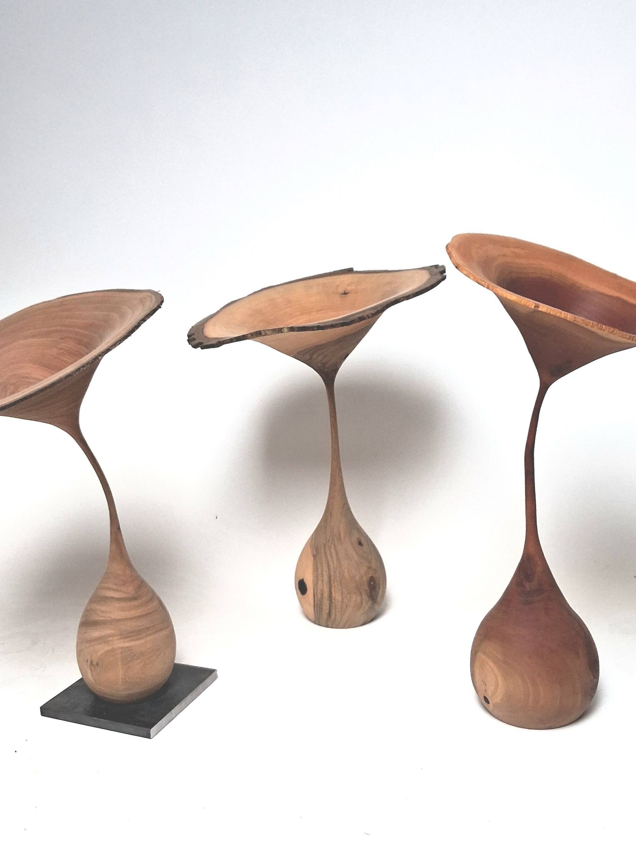 KlausKirchner Amphore Platane 650