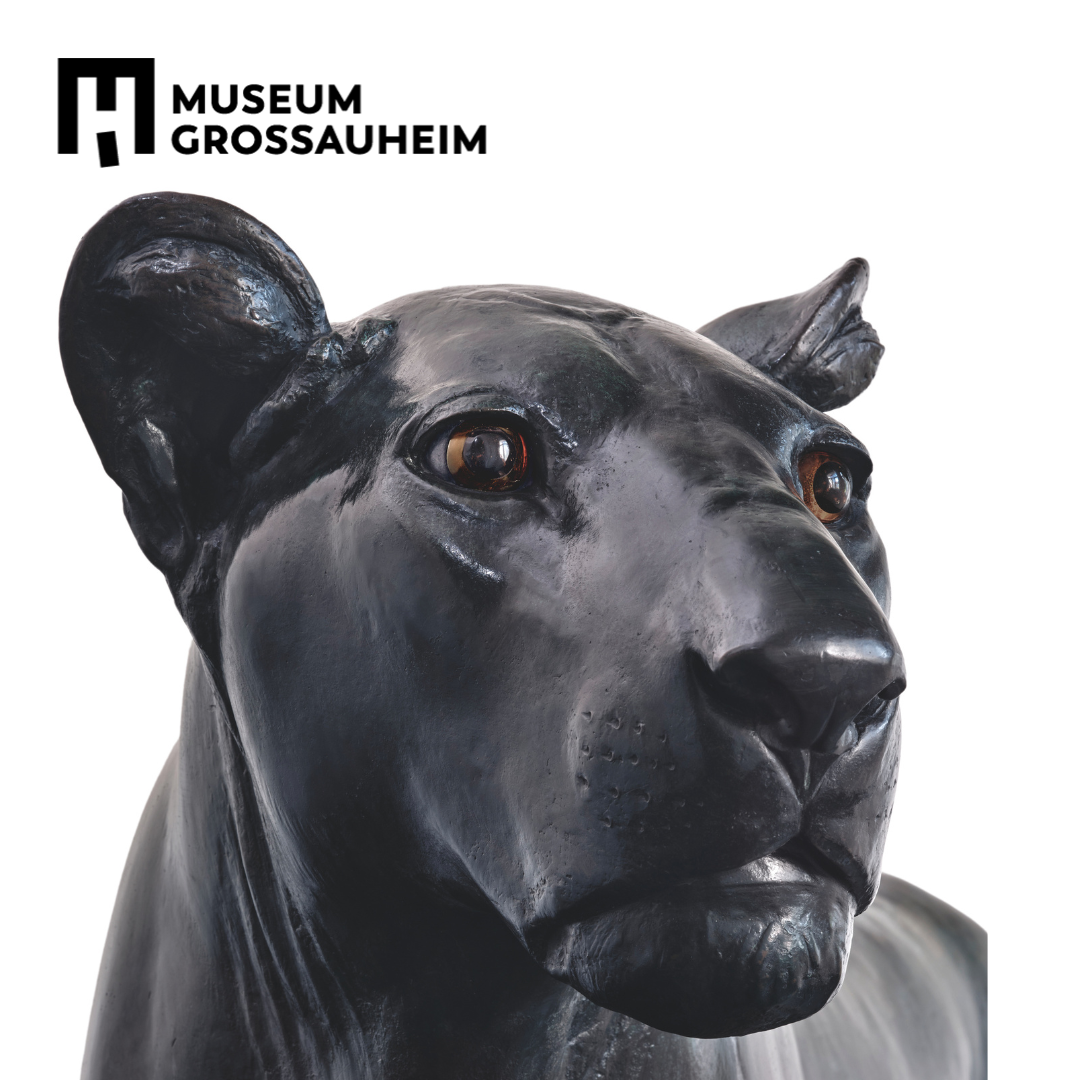 Die Löwin packt die Koffer 