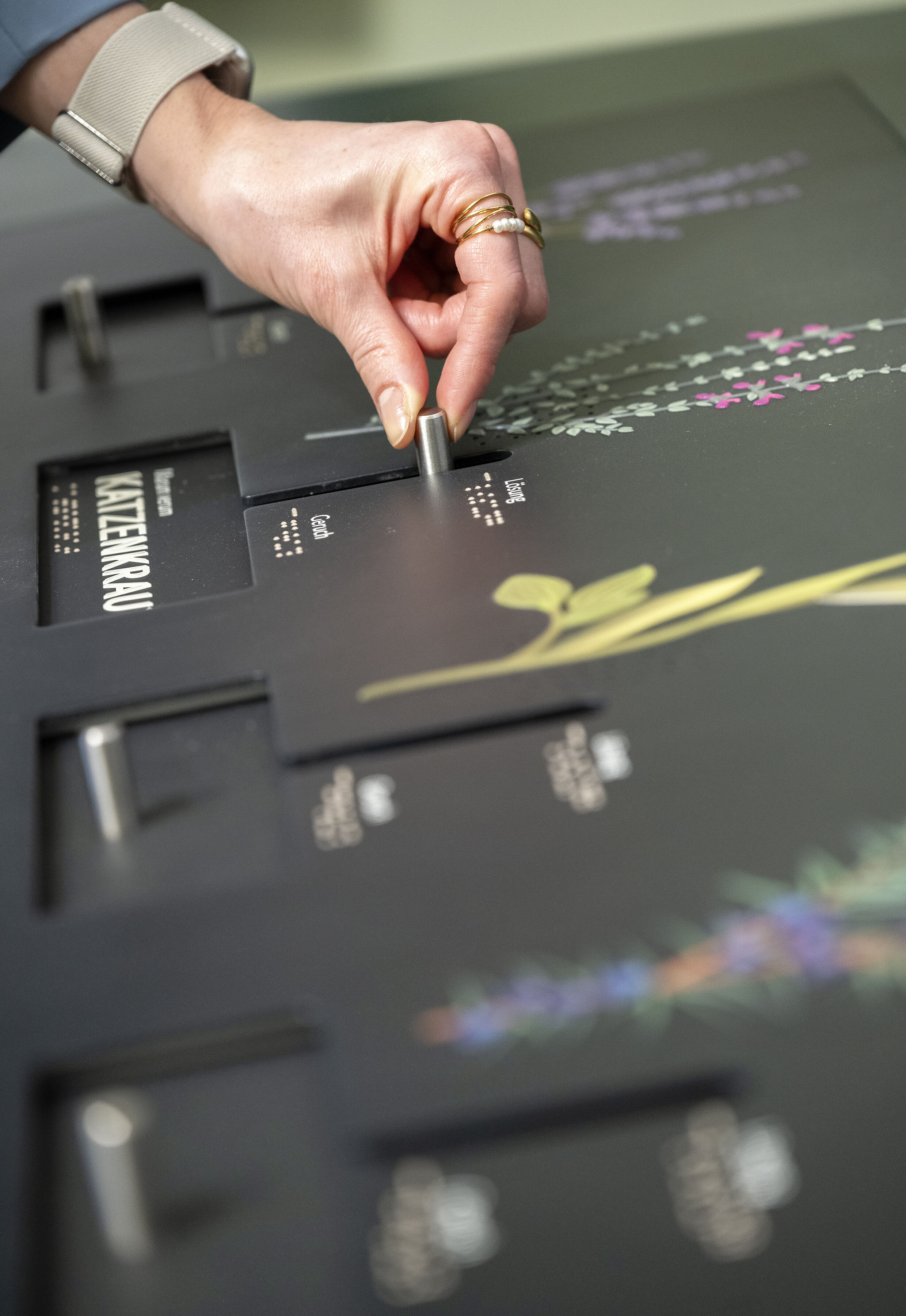 Impression aus der Ausstellung Hanauer Neustadt, Riechstation