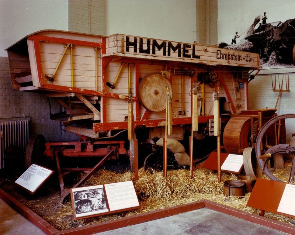 181 Hummel Halle