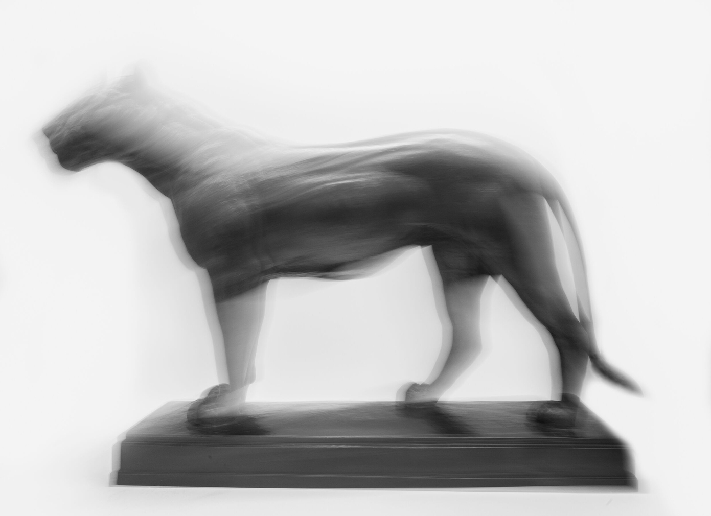 Große stehende Löwin. Foto: Städtische Museen Hanau, Uwe Dettmar